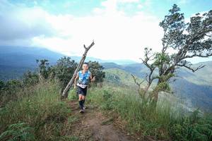 BIB: 
                            <button type="button" onclick="openModal(22372512)" class="btn btn-primary btn-sm float-right btn-popup" data-toggle="modal" data-target=".modal-high-quality">
                        <i class="fas fa-shopping-cart"></i> Add to Cart
                    </button>
                                            <button type="button" onclick="isThisMe(22372512, true)" class="btn btn-success btn-sm float-right btn-popup btn-isme hidden" data-toggle="tooltip" data-placement="bottom" title="นี่คือรูปของคุณใช่ไหม คลิกที่นี่เพื่อเอาเข้าอัลบั้ม">
                        <i class="fas fa-plus"></i> Add to album
                    </button>
                    <button type="button" onclick="isThisMe(22372512, false)" class="btn btn-warning btn-sm float-right btn-popup btn-isnotme hidden">
                        <i class="fas fa-ban"></i> Remove from album
                    </button>